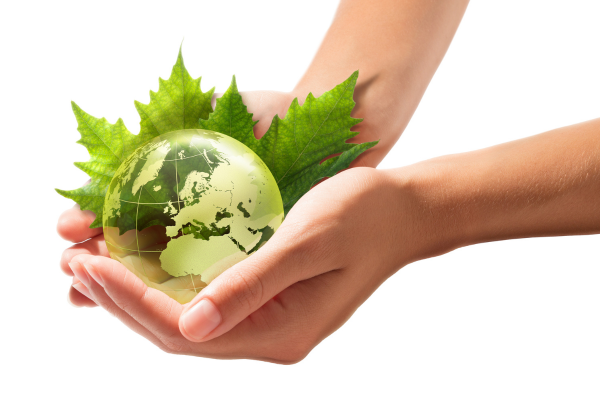 30年行业经验，专业生产环保增塑剂